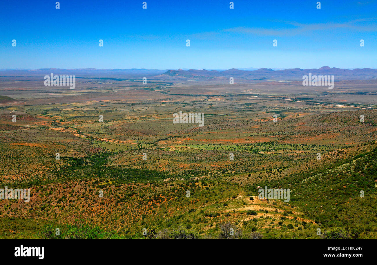 Ebene südlich von Graaff-Reinet Karoo, Südafrika, Western Cape Stockfoto