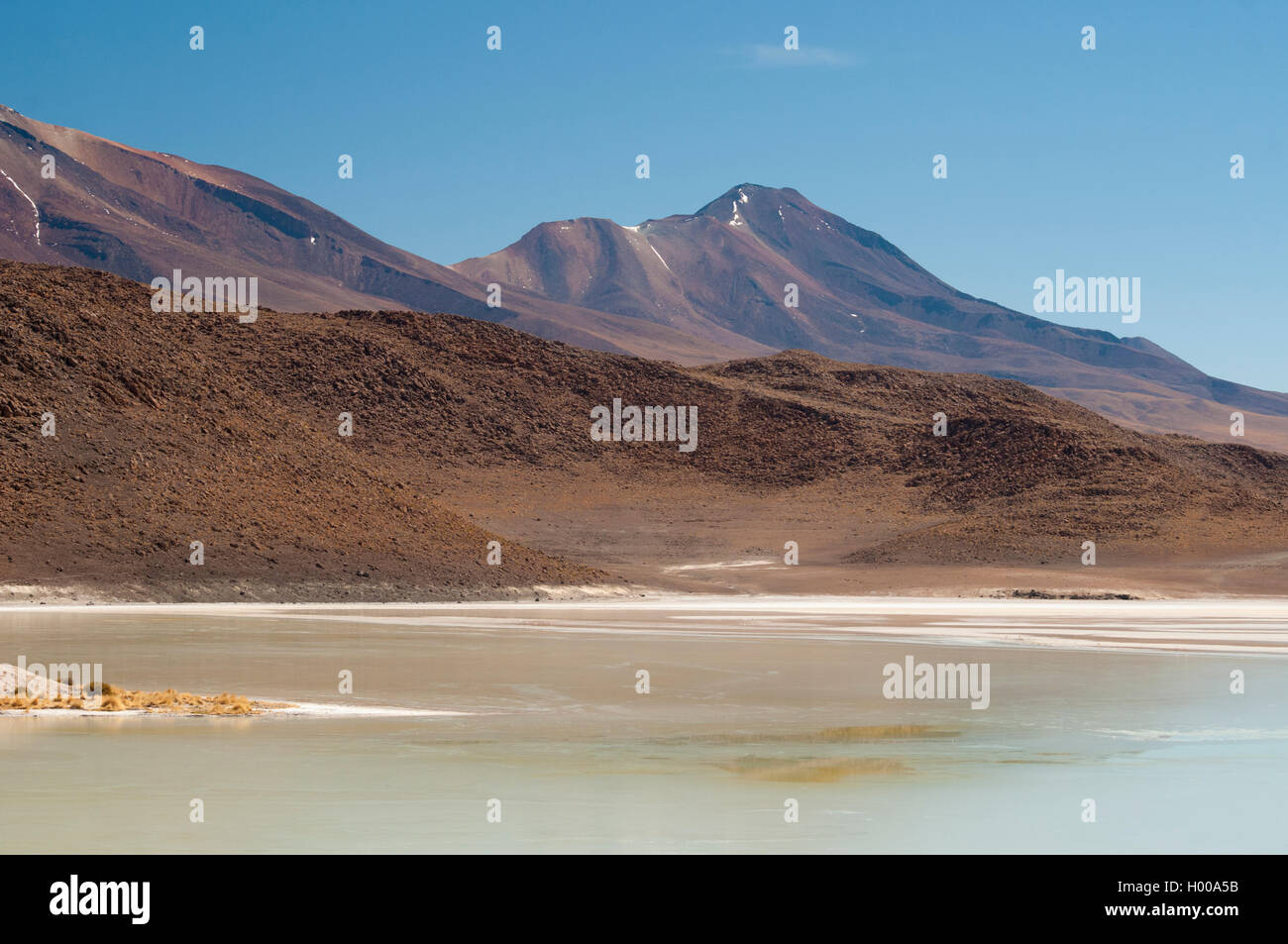 Laguna Honda ist ein Höhen-Salzsee in der Reserva Eduardo Avaroa, Bolivien Stockfoto