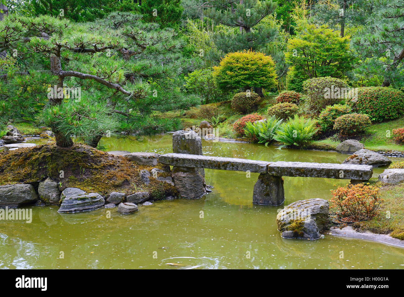 Typische Japanische Garten mit Dekoration und koi Teich Stockfotografie