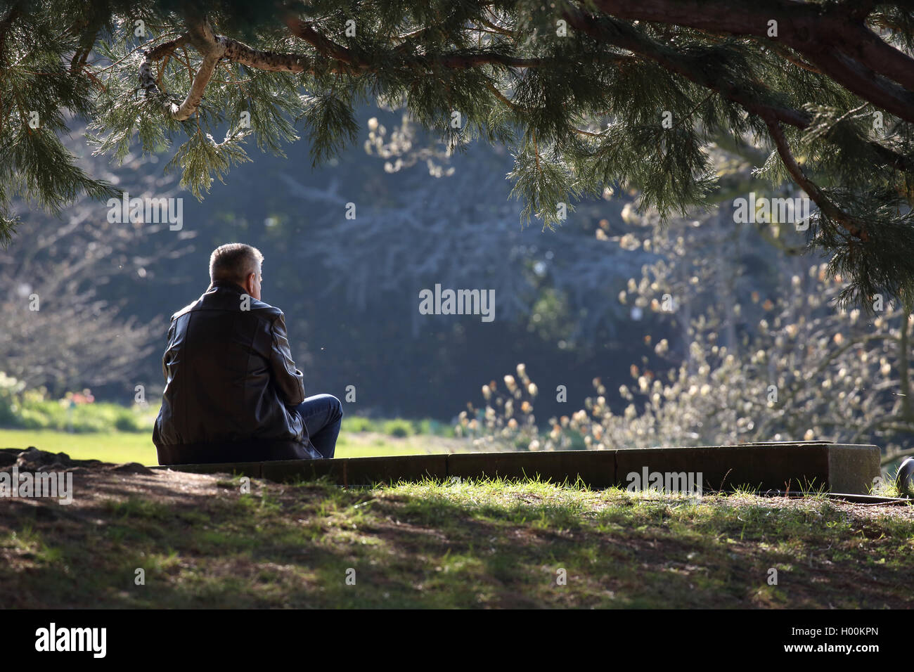 Mann sitzt unter einem Baum, Deutschland Stockfoto