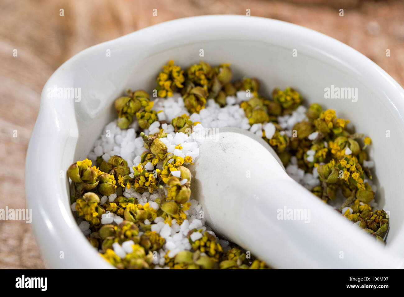 Carneol Kirschholz (Cornus Mas), gesammelte Blüten getrocknet und mit Salz gemischt Stockfoto