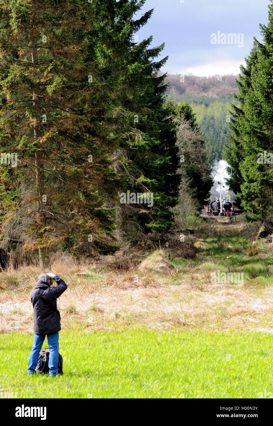 Ein Fotograf fängt den Anblick von einem Dampfzug durch eine Lücke in den Bäumen Levisham Station nähert. Stockfoto