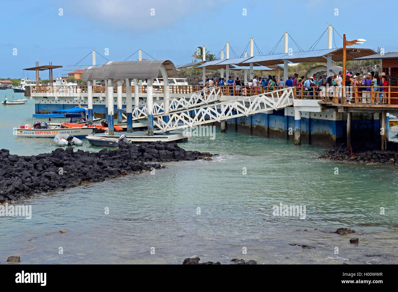 Hafen mit den Landungsbrücken und Kai für Kreuzfahrtschiffe, Ecuador, Galapagos Inseln, Santa Cruz, Puerto Ayora Stockfoto