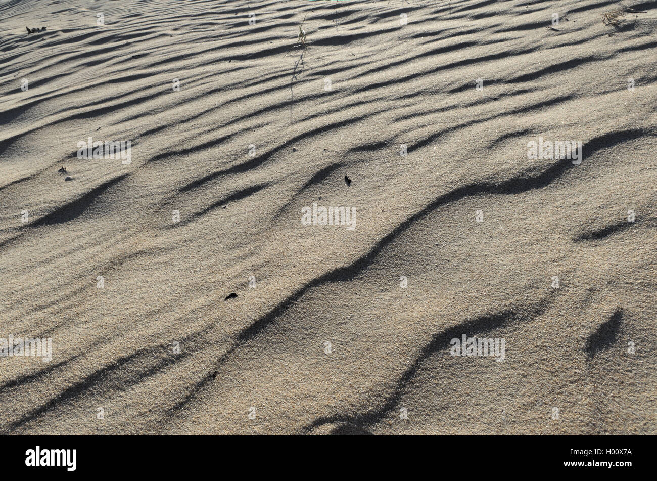 Strand Sand Oberflächenstruktur. Natürliche Hintergründe und Texturen Stockfoto