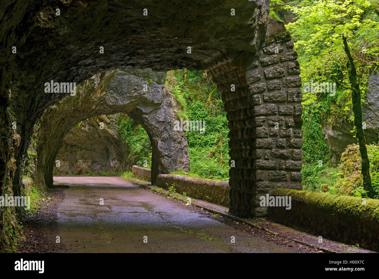 Mountain Road mit Tunnel, Frankreich, Vercors Nationalpark, Pont en Royans Stockfoto