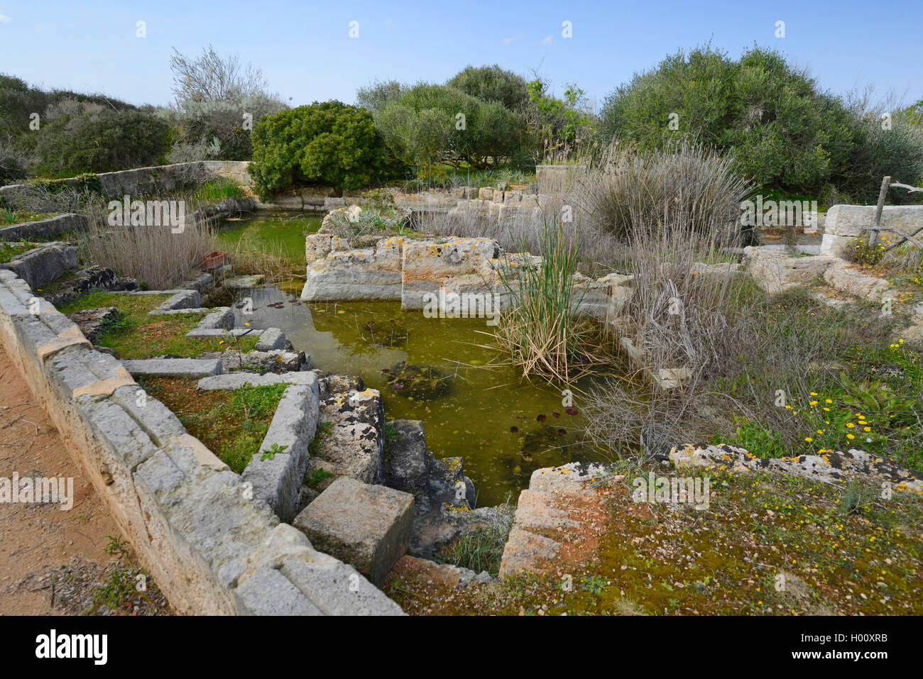Alte MarÞs Stein Grube mit Wasser an einem botanischen Garten, Spanien, Balearen, Menorca, Ciutadella gefüllt Stockfoto