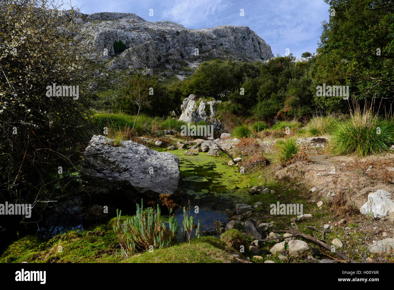 Teich im Berg sof Sierre de Tramintana, Spanien, Balearen, Mallorca, Serra de Tramuntana. Stockfoto