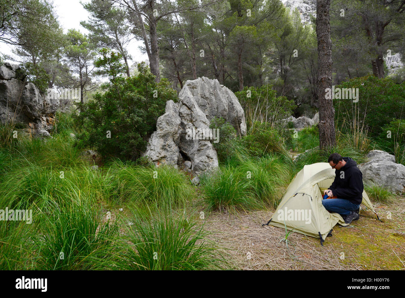 Junger Mann camps in einem Pinienwald, Spanien, Balearen, Mallorca Stockfoto