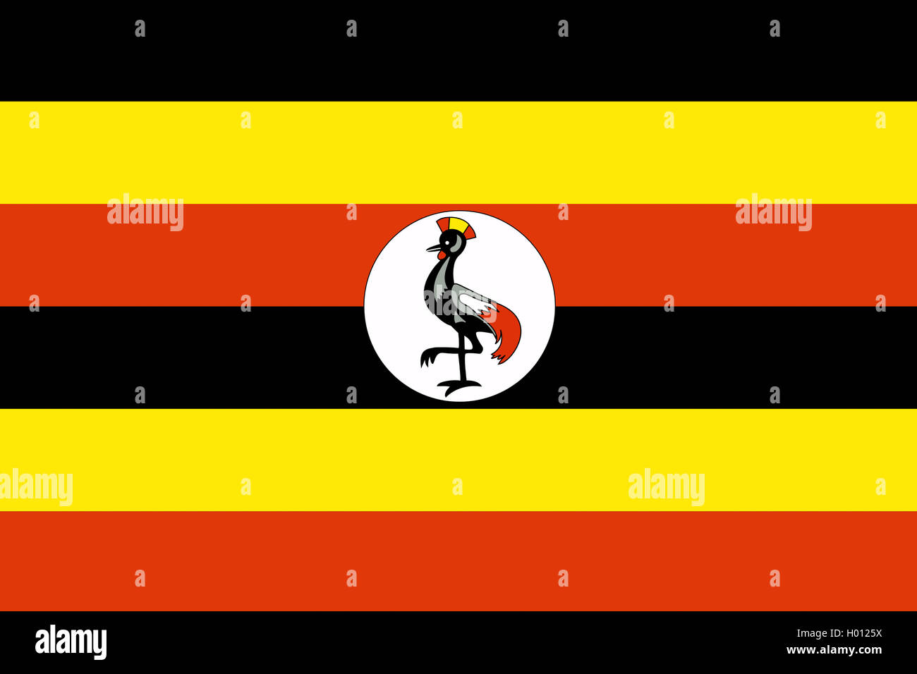 Flagge Uganda Uganda Stockfoto