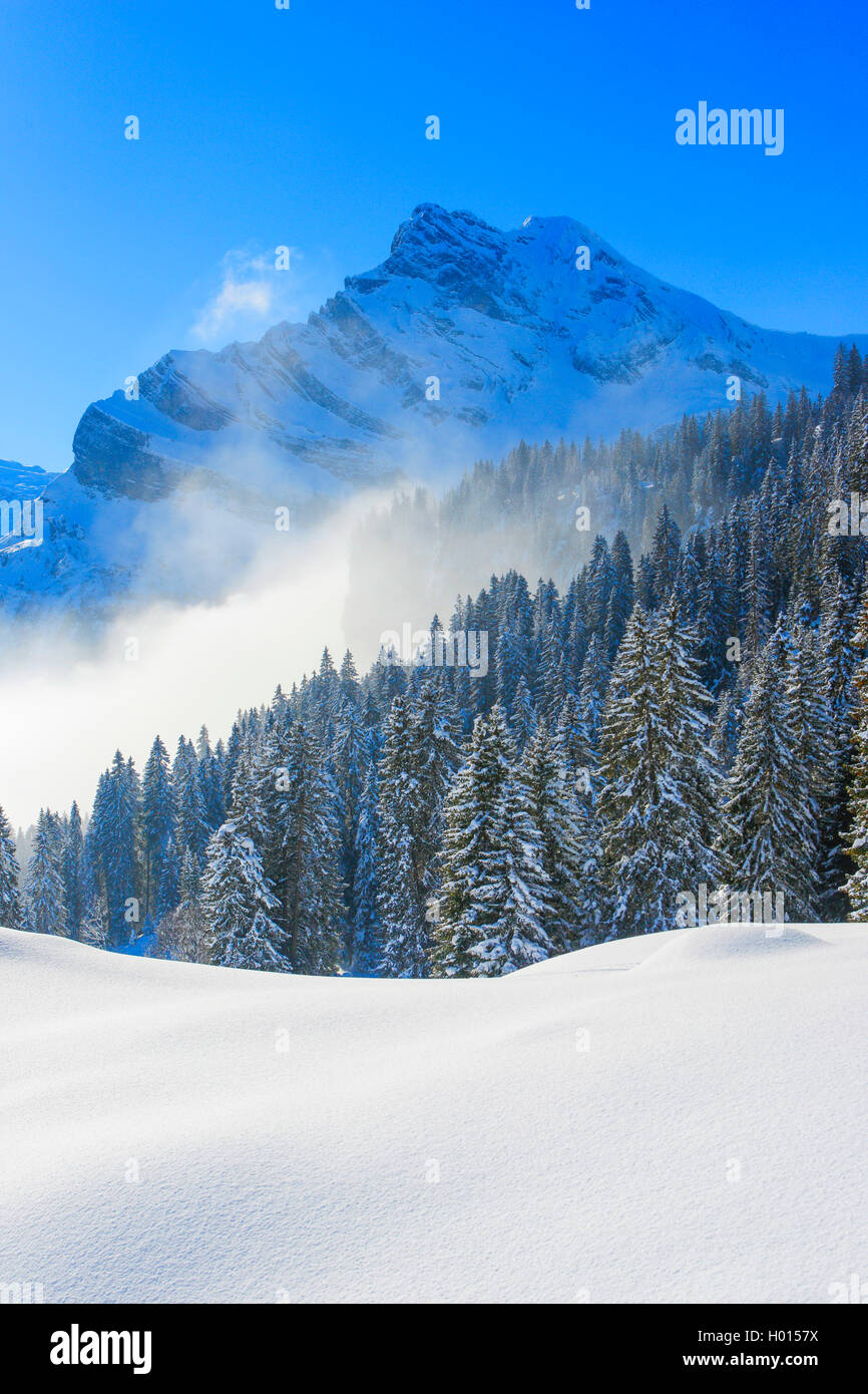 Ortstock, Walliser Alpen, Schweiz Stockfoto