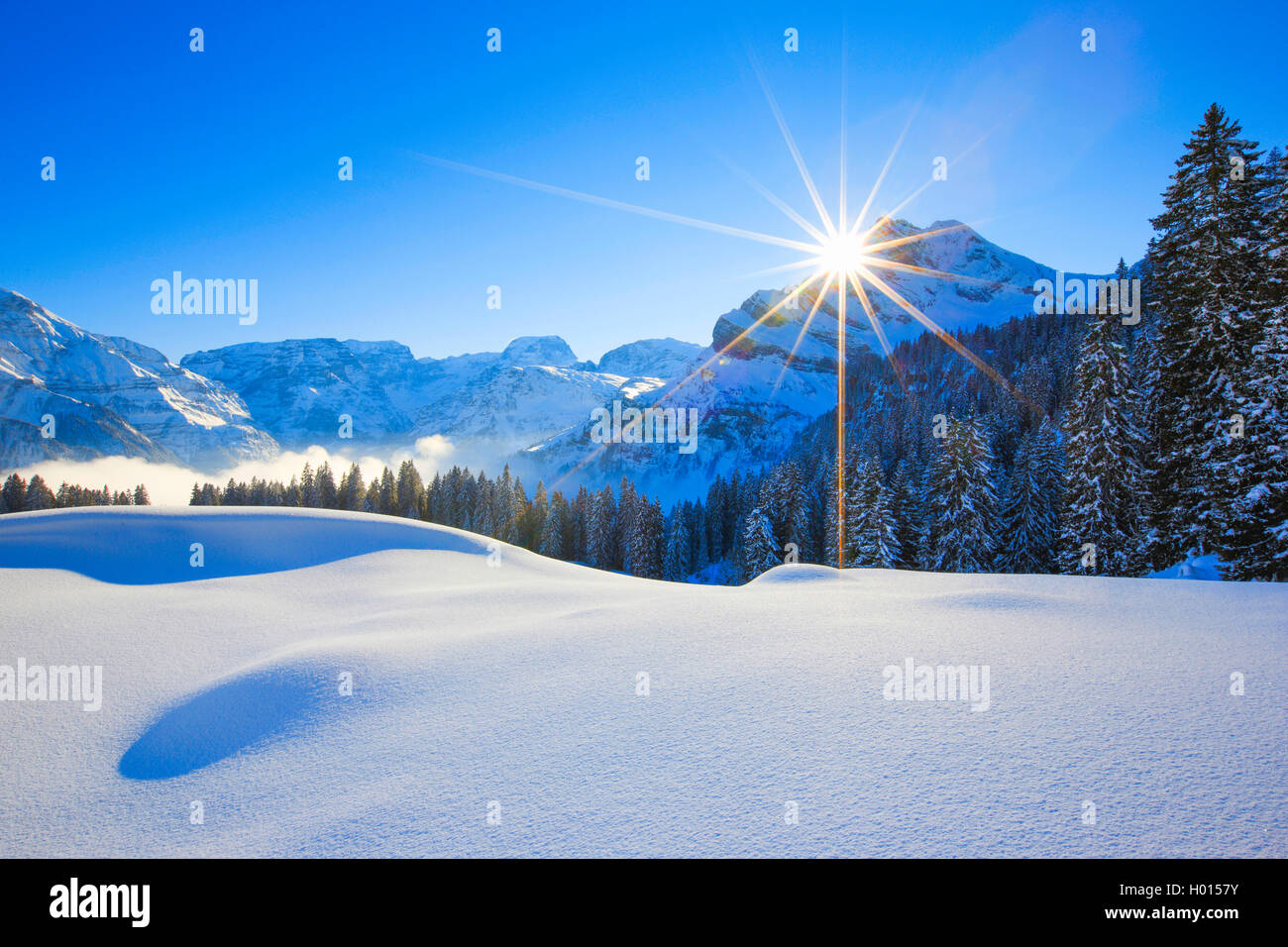 Ortstock und Tödi in den Walliser Alpen, Schweiz Stockfoto