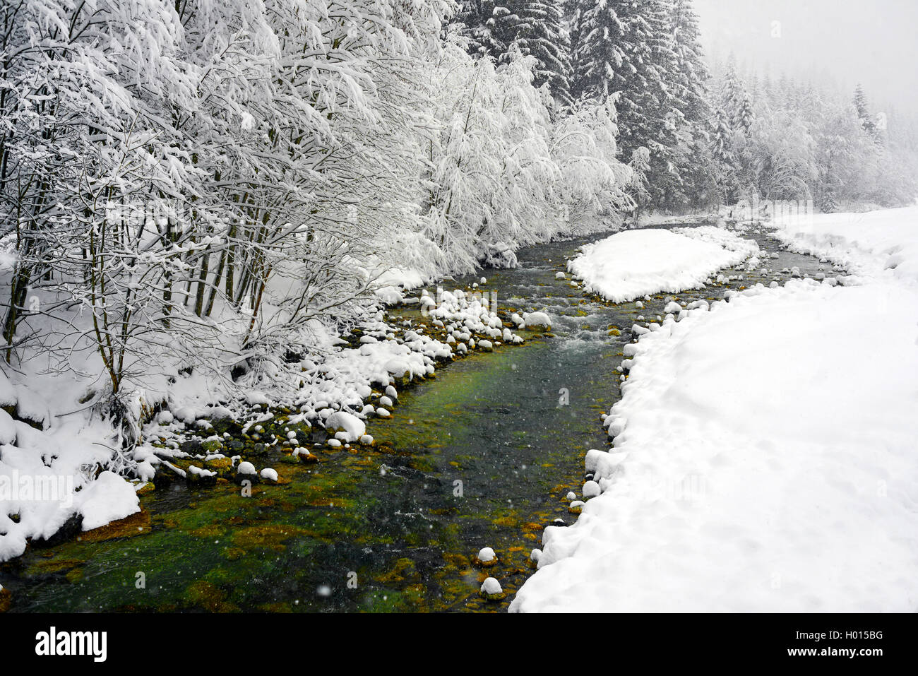Fluss Arve in verschneiter Landschaft, Frankreich, Haute-savoie, Chamonix Stockfoto
