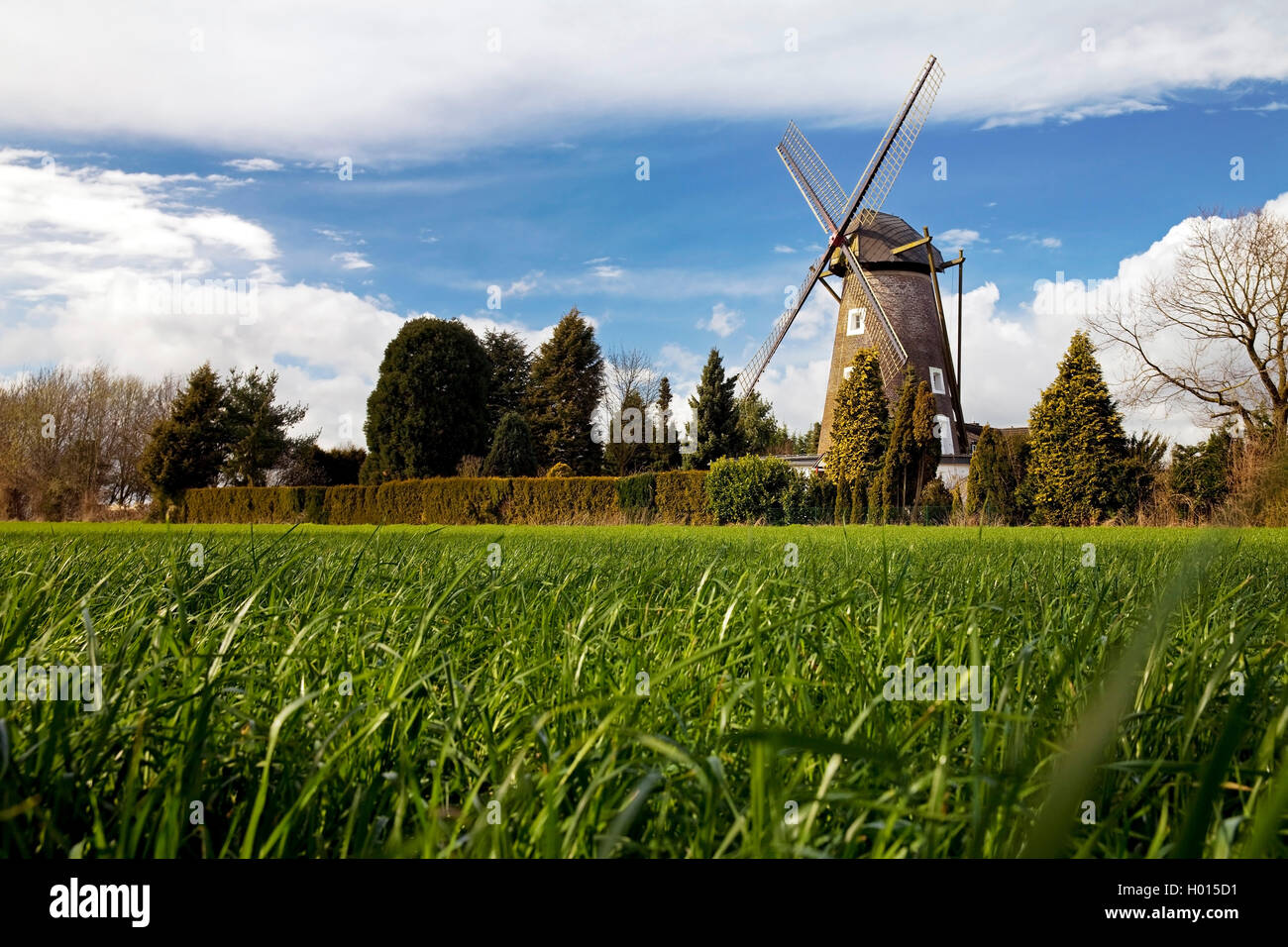 Dahlenmuehle in Deutschland, Nordrhein-Westfalen, Niederrhein, Issum, Issum | Dahlen Mühle in Issum, Deutschland, Nordrhein-Westpha Stockfoto