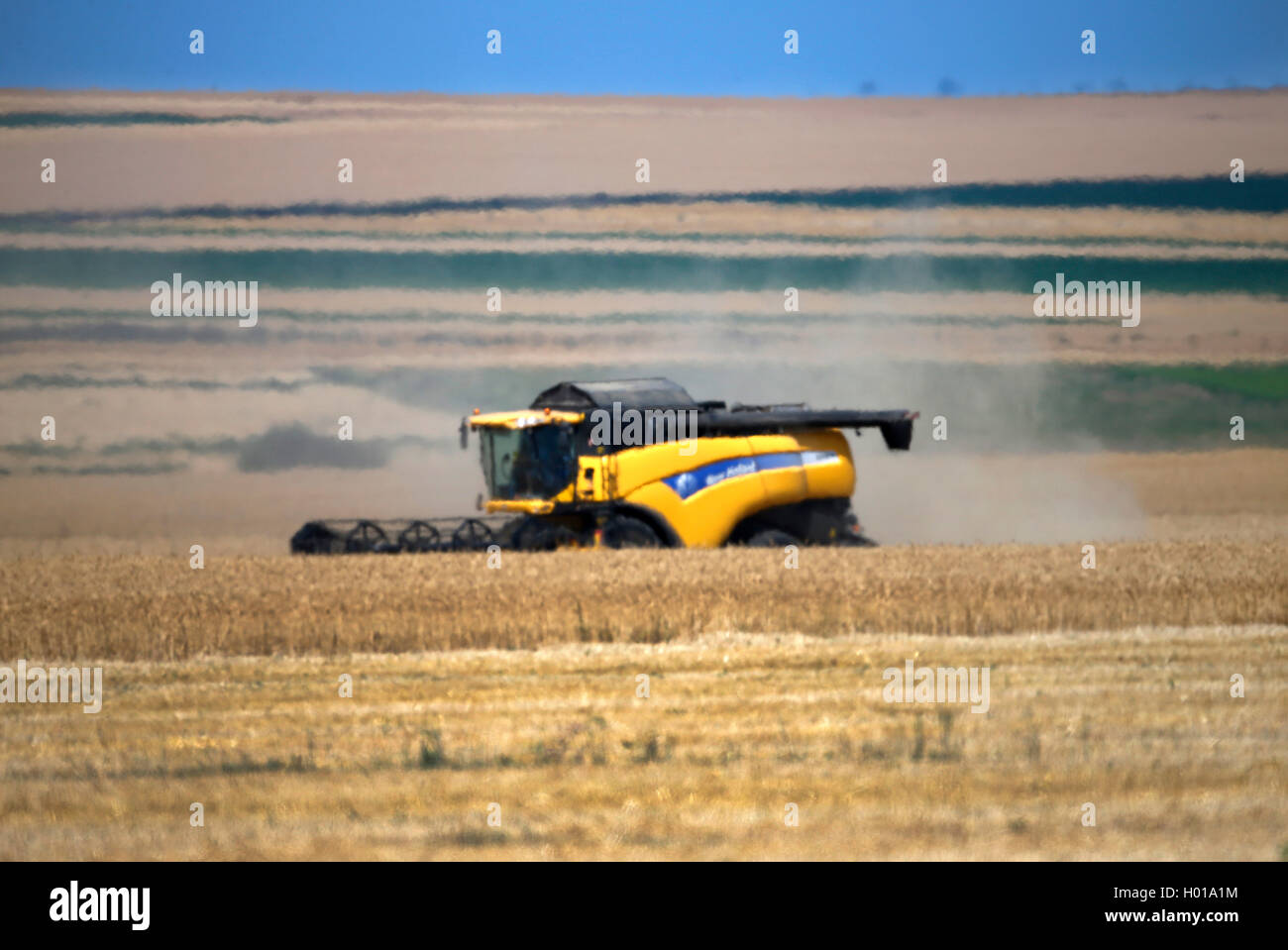Erntegutprozessor Ernte ein Feld Struktur kombinieren, Rumänien Stockfoto