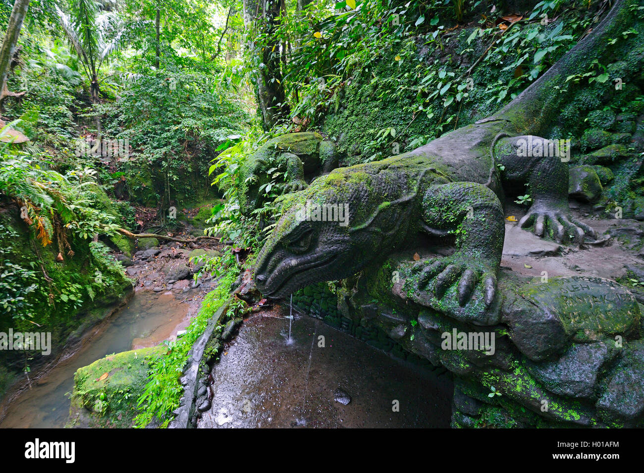 Komodo-Waran, Komodo Waran, Komodowaran (Varanus Komodoensis), Zollvergehen Komodowarane Im Heiligen Frühling Tempel, Affenwald, Indonesi Stockfoto