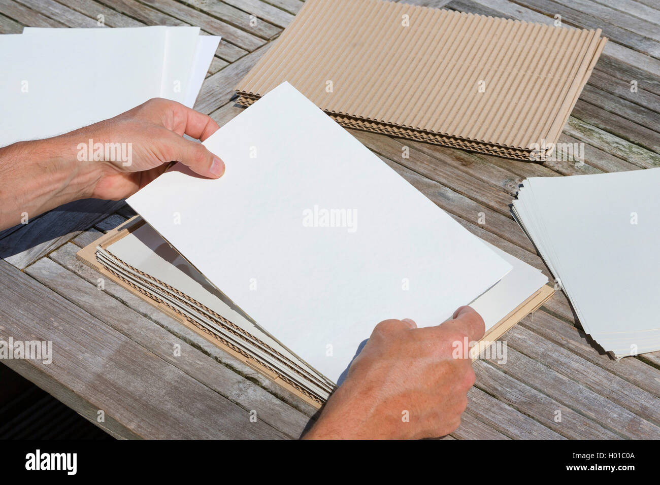 Ein Herbarium, Deutschland Stockfoto