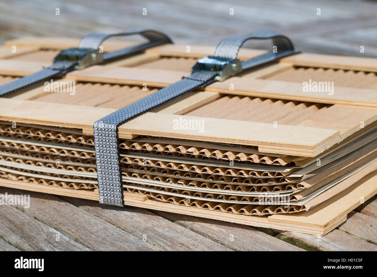 Ein Herbarium, Deutschland Stockfotografie Alamy