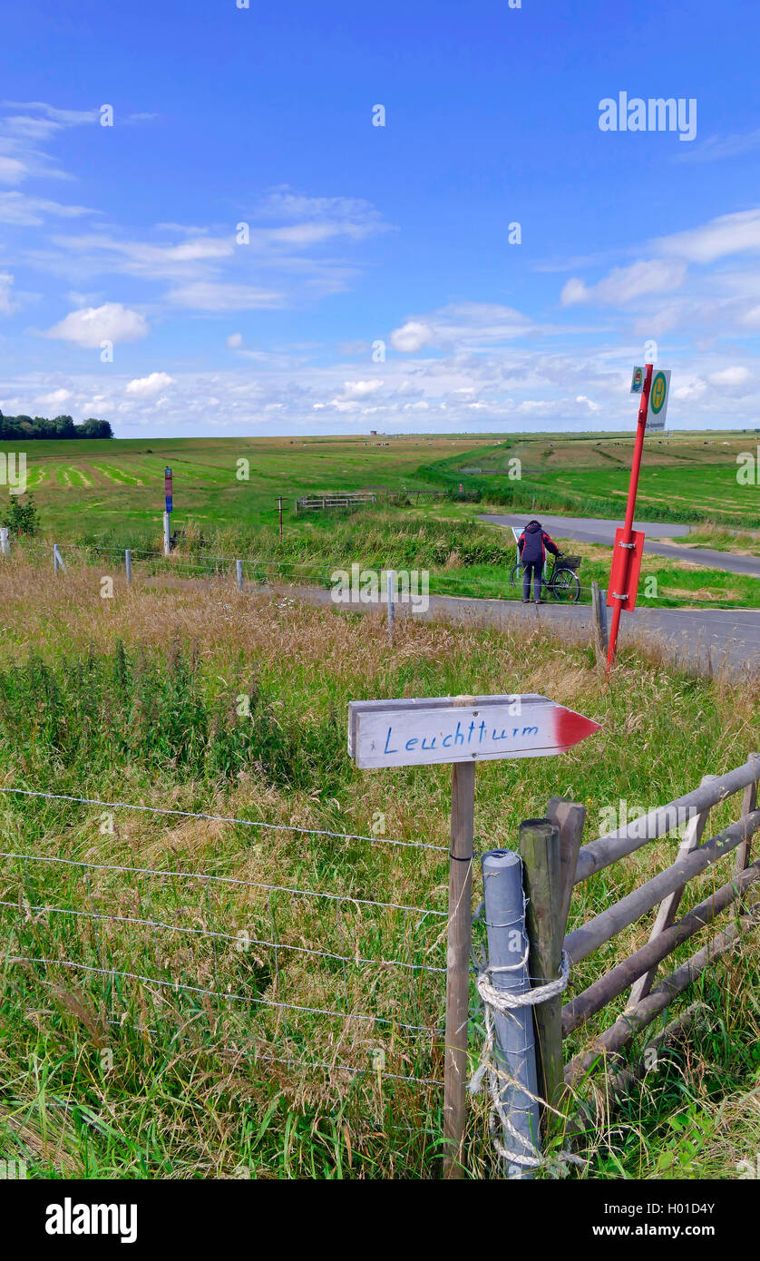 Fahrradweg und Wanderweg zum alten Baljer Leuchtturm Kehdingen, Deutschland, Niedersachsen Stockfoto