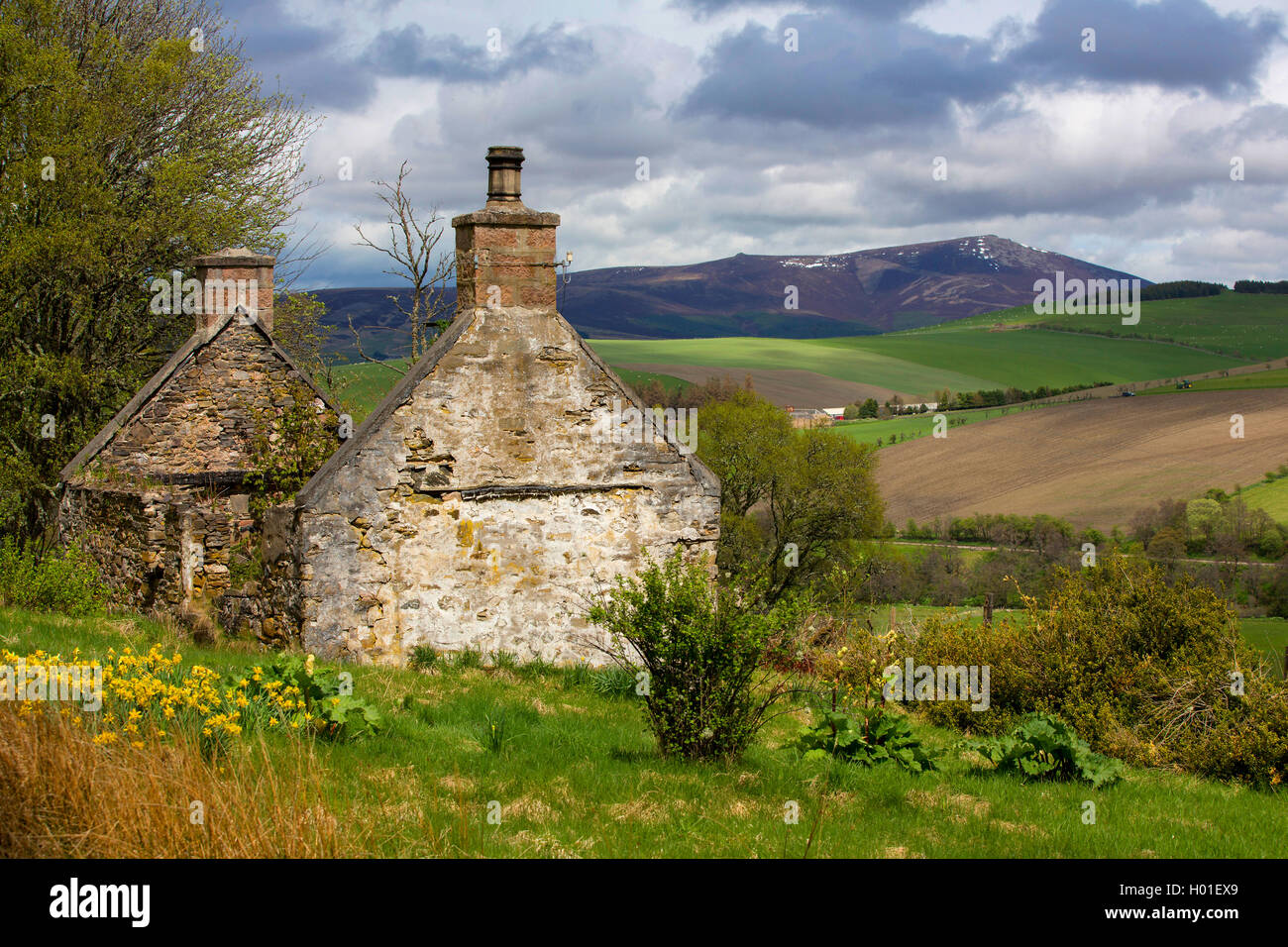 Ruinen Eines Hauses Im Schottischen Hochland Vereinigtes