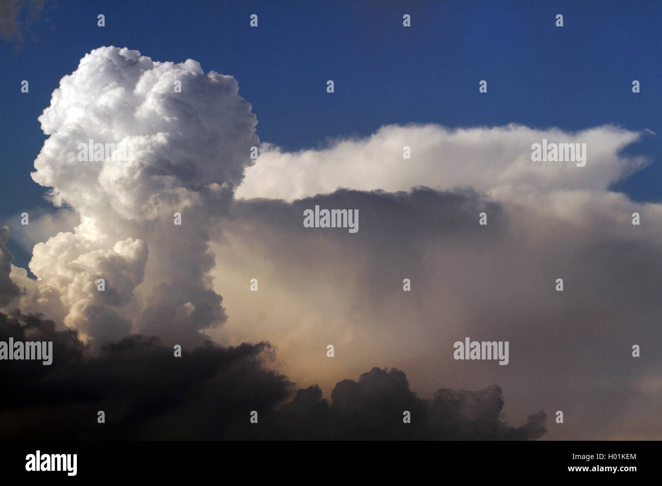 Cumulus Wolken bei instabilen atmosphärische Schichtung und Cumulonimbus calvus Wolken, Deutschland, Nordrhein-Westfalen Stockfoto