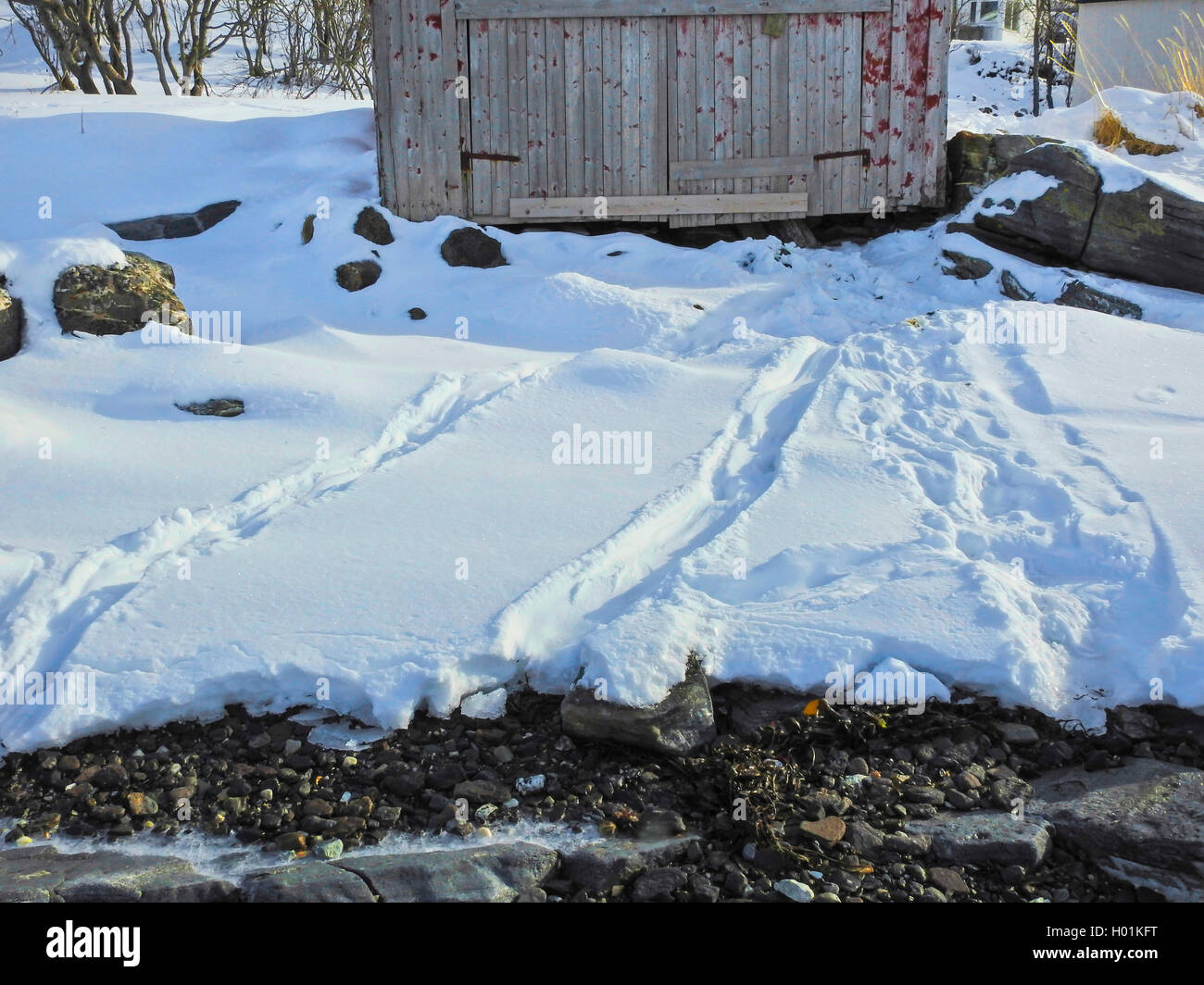 Europäische river Otter, Fischotter, Eurasische Fischotter (Lutra lutra), Fischotter Spuren im Schnee An einem Boot Haus, Norby, Troms, Tromsoe Stockfoto