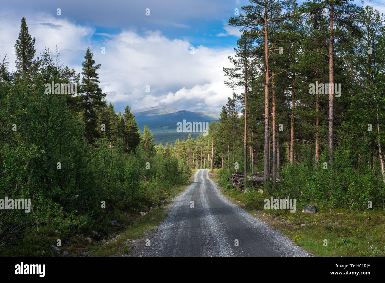 Ländliche unbefestigte Straße in Oppland, Norwegen Stockfoto