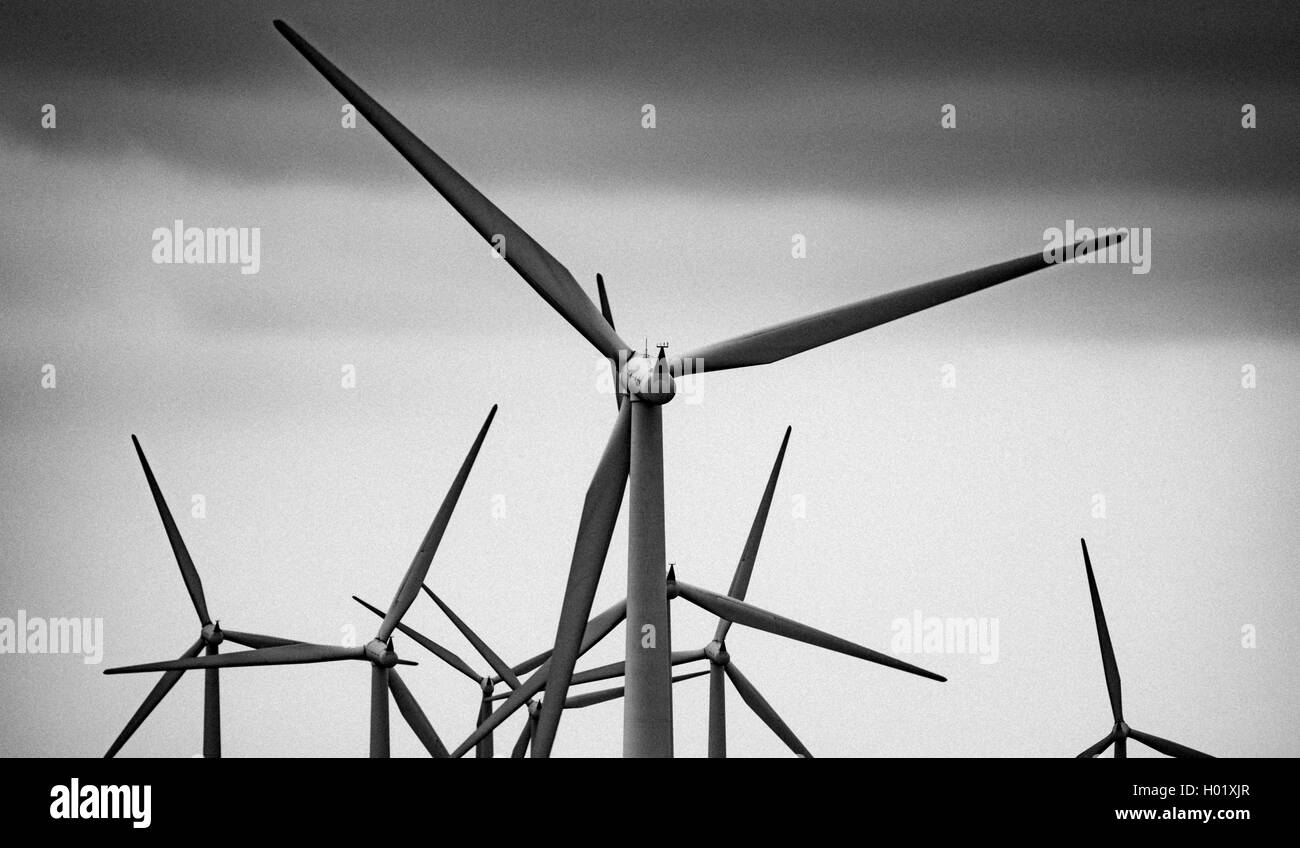 Windkraftanlagen auf der schwarzen Gesetz Windpark, South Lanarkshire, Schottland Stockfoto