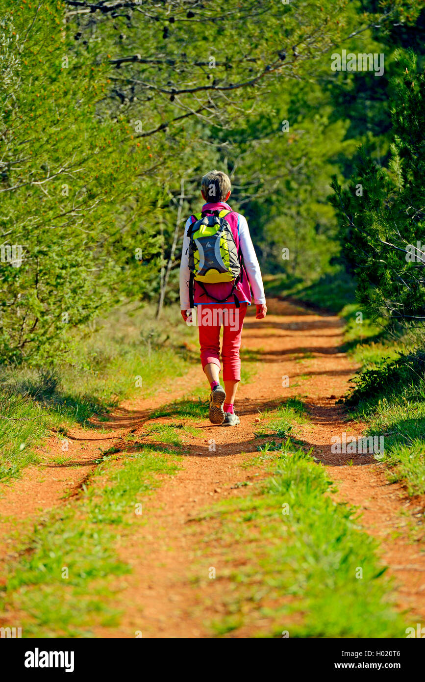 Weibliche Wanderer auf dem Pfad am Rande eines Waldes, Frankreich, Provence, Luberon Stockfoto