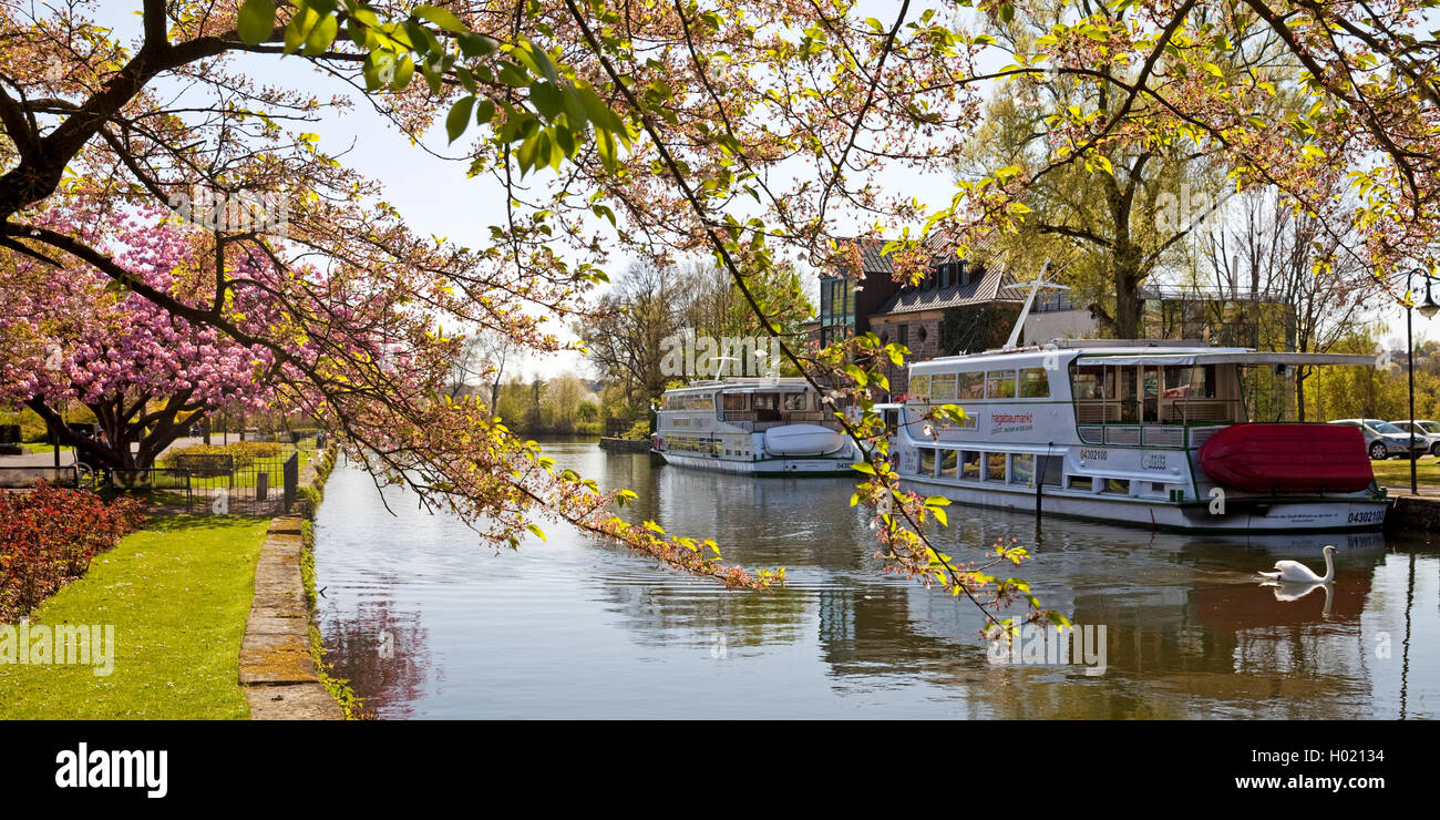 Zwei Ausflugsschiffe der Weißen Flotte in Mühlheim an der Ruhr ...