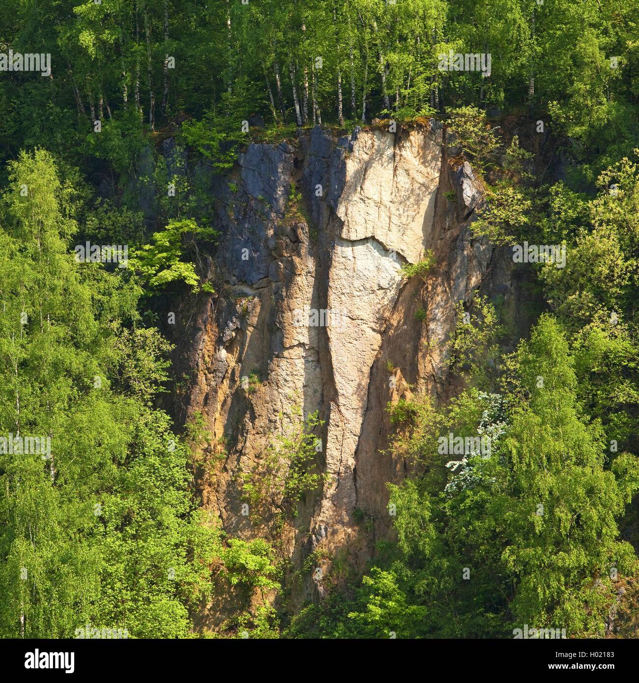 Rock Formation des ehemaligen Bochumer Bruch Kalksteinbruch, Deutschland, Nordrhein-Westfalen, Bergisches Land, Wülfrath Stockfoto