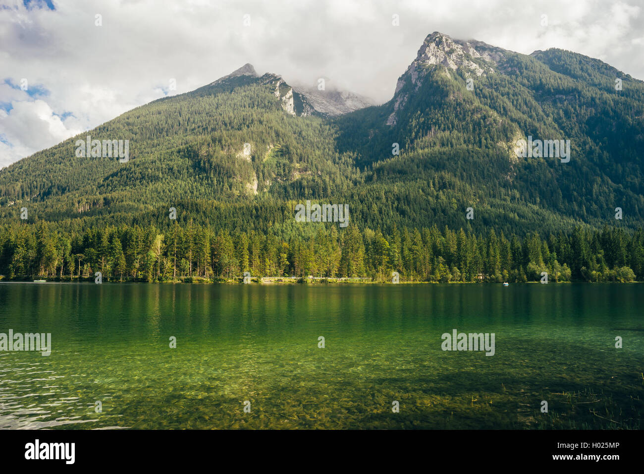 Hintersee-See und die Alpen im Hintergrund, Bayern, Deutschland Stockfoto