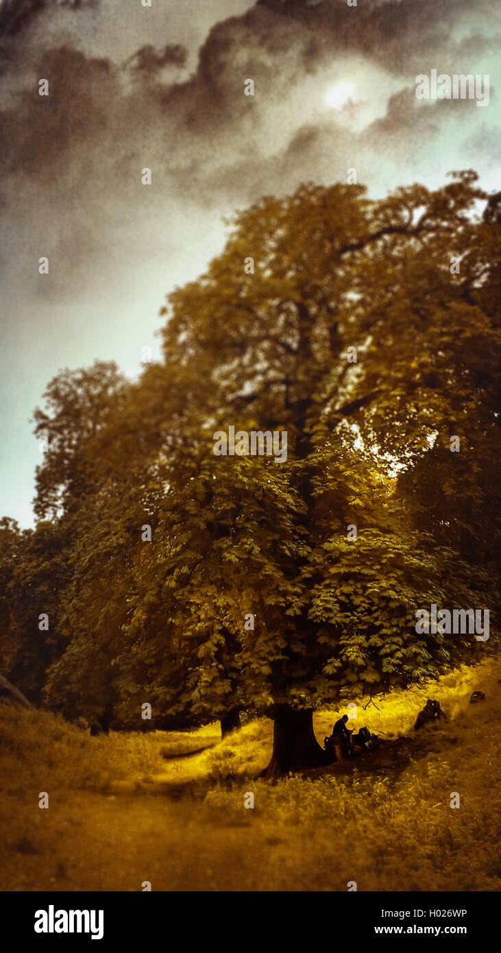 Silhouette der Mann unter dem Baum Standortwahl und ruhen Stockfoto