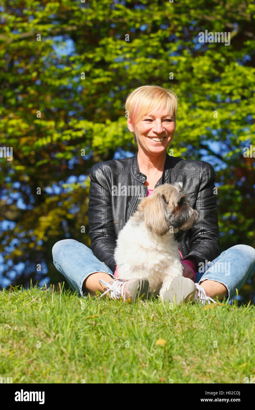 Shih Tzu (Canis lupus f. familiaris), mit Mistress, Deutschland Stockfoto