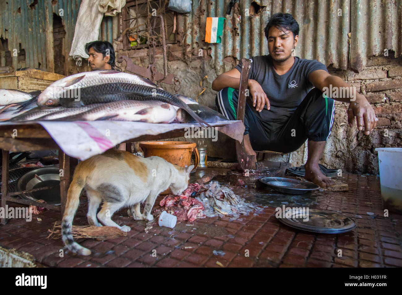 MUMBAI, Indien - 11. Januar 2015: Katze frisst Fisch Reste, während Anbieter sieht und auf Kunden wartet. Trotz dieser, Hygiene-Ständer Stockfoto