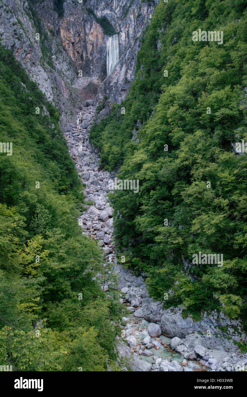 Boka Wasserfall umgeben von Wald im Nationalpark Triglav, Slowenien Stockfoto