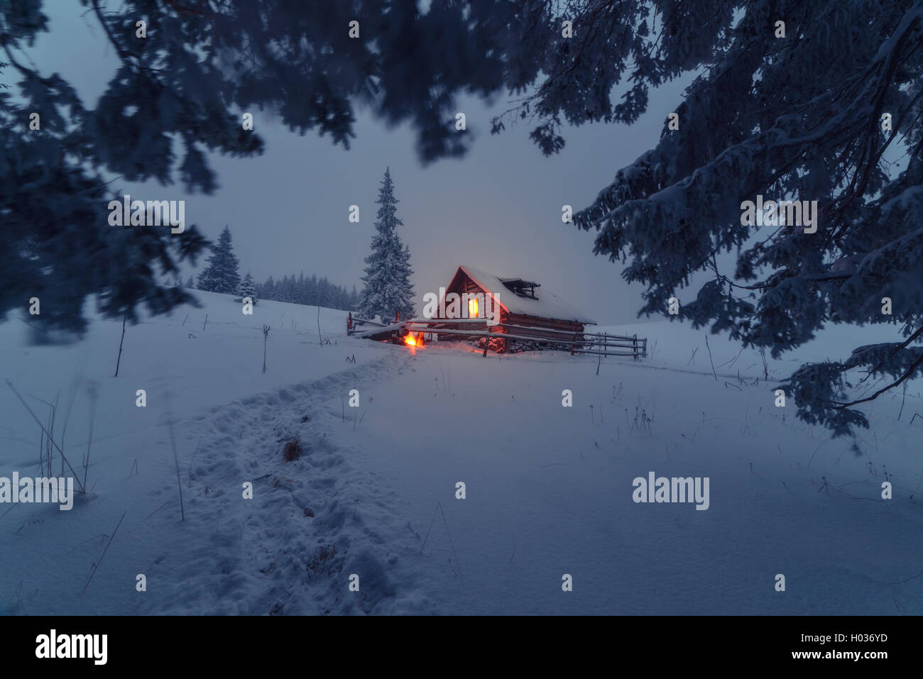 Nacht im Wald. Haus mit Licht Stockfoto