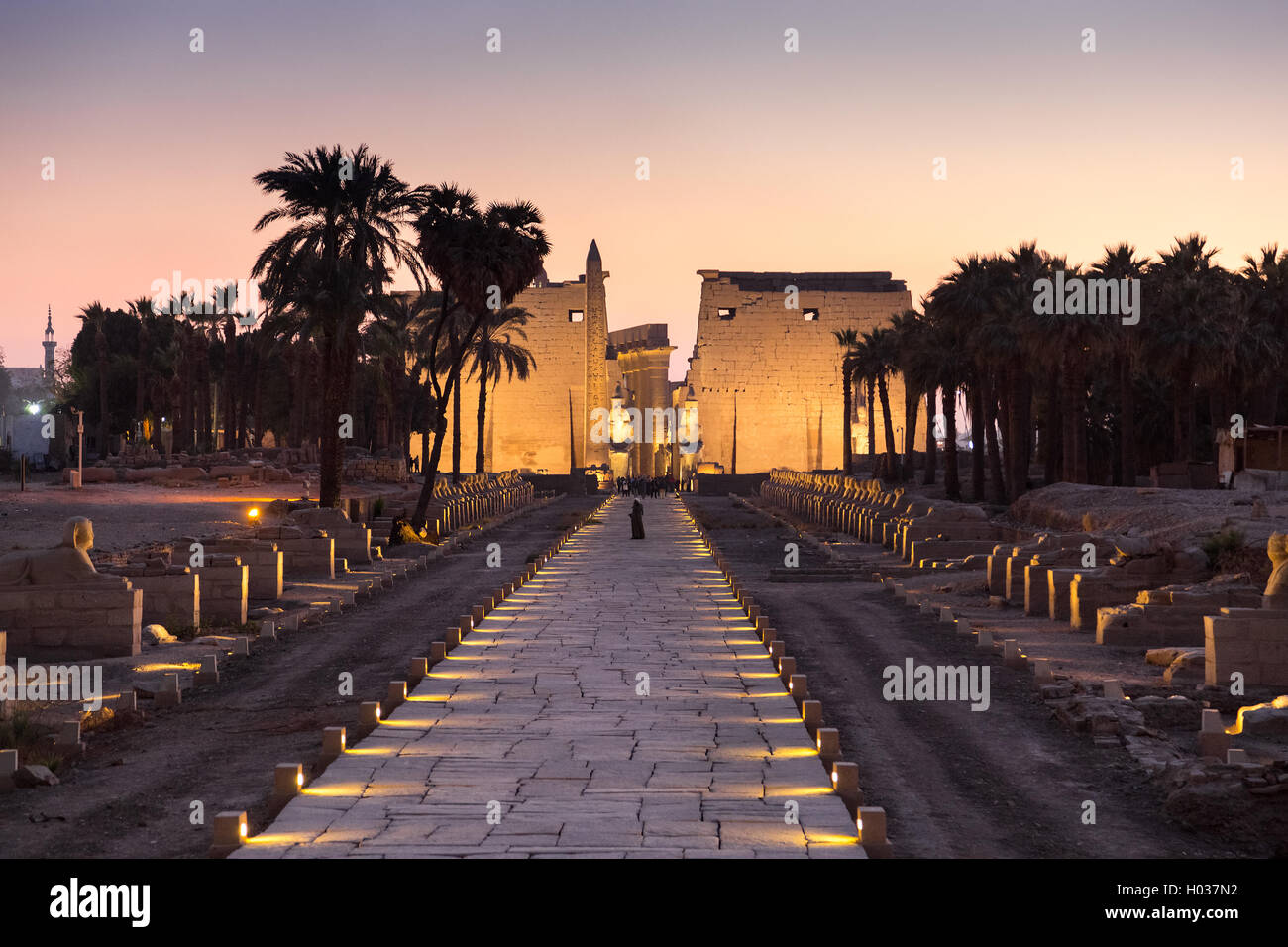 Nachtaufnahme von Avenue Sphinxe im Luxor-Tempel. Stockfoto