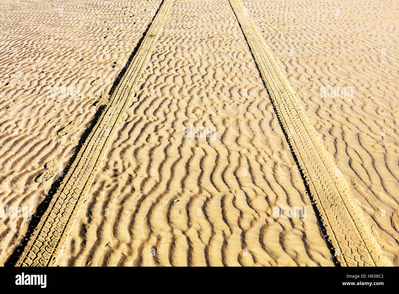 Rad verfolgt den Sanddünen. Stockfoto