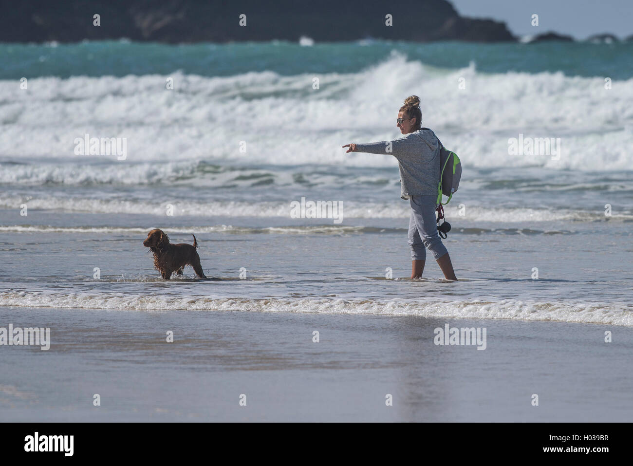 Eine Dogwalker und ihr Haustier Paddeln im Meer am Fistral in Newquay Stockfoto