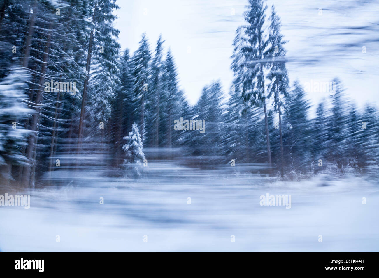 Winter in Beskid Zywiecki, Polen. Stockfoto