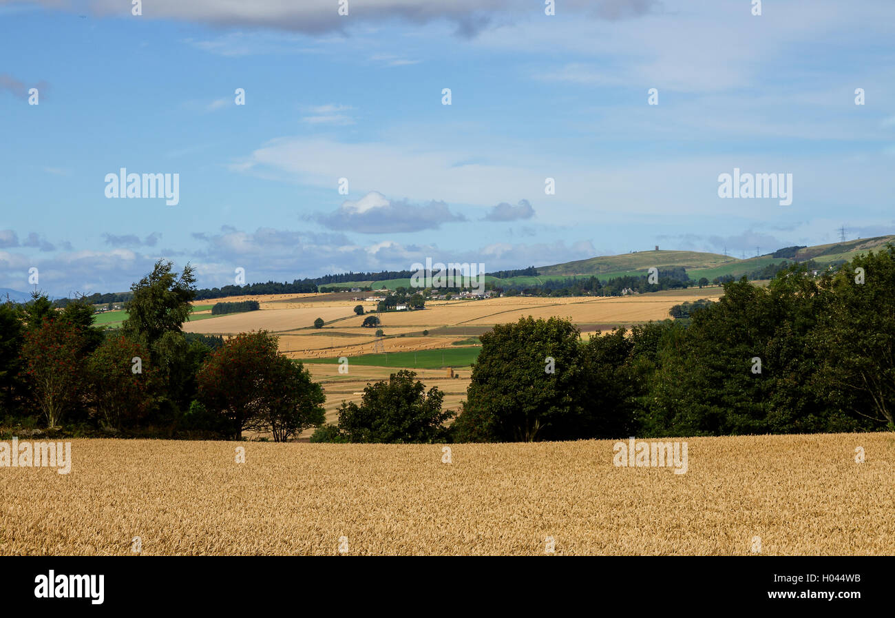 Abgeernteten Feldern und Ackerland über das Strathmore-Tal in ländlichen Dundee, Großbritannien Stockfoto