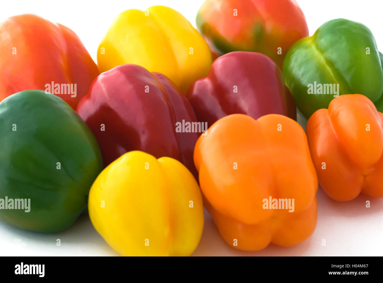 CAPSICUM ANNUUM PAPRIKA Stockfoto
