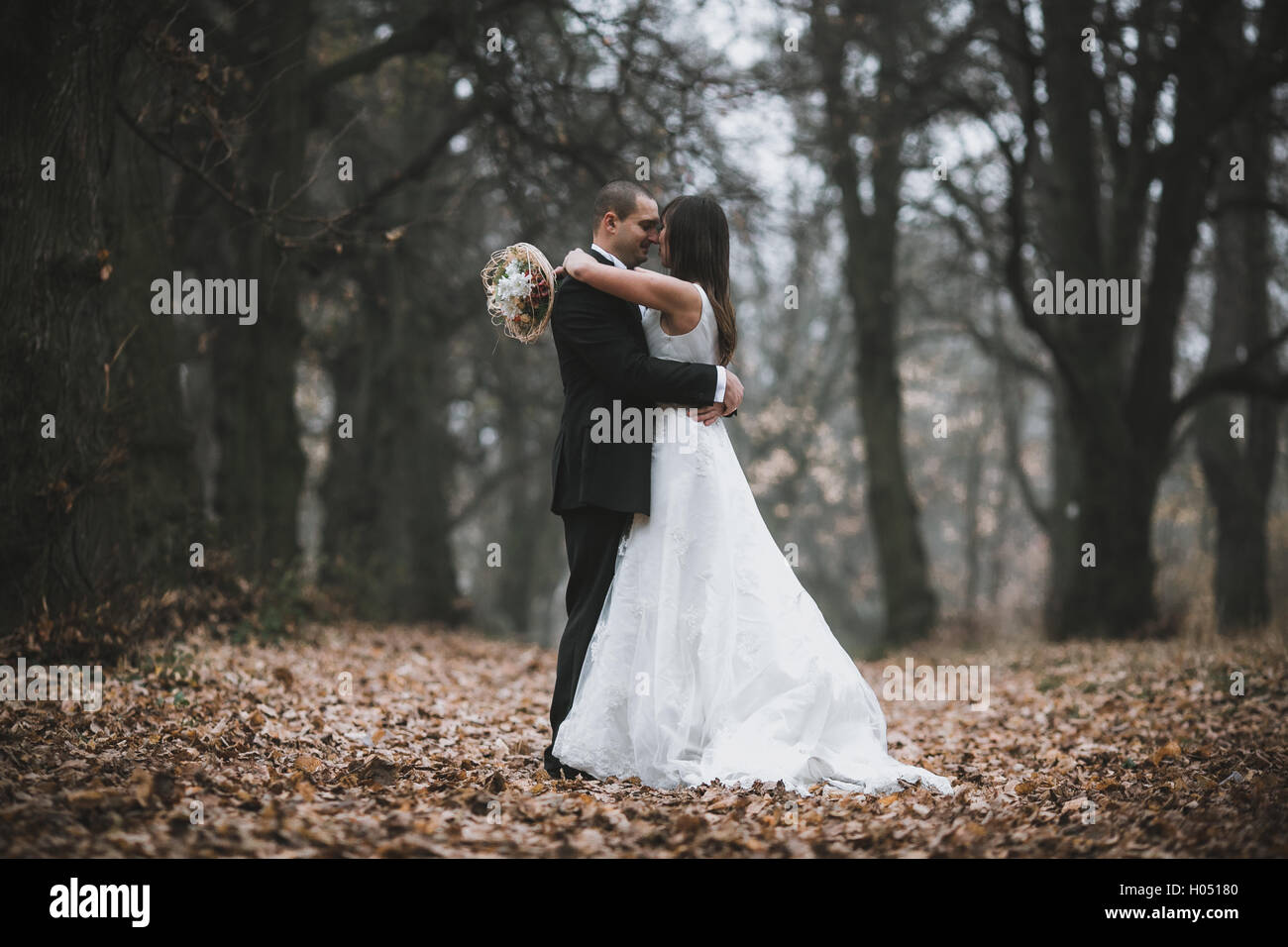 glückliche Braut und Bräutigam küssen in den herbstlichen Wald Stockfoto