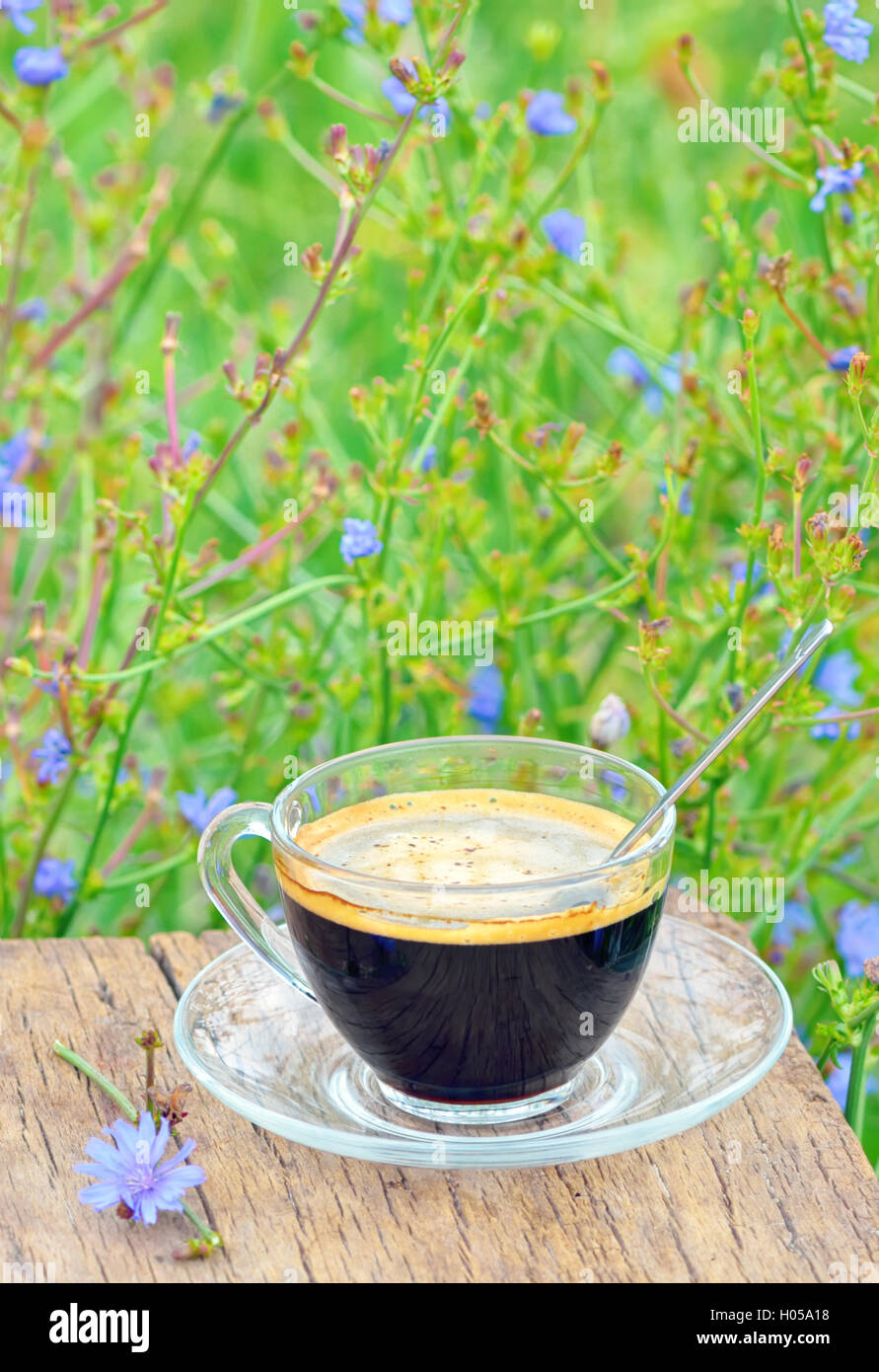 Chicorée Heißgetränk Stockfoto