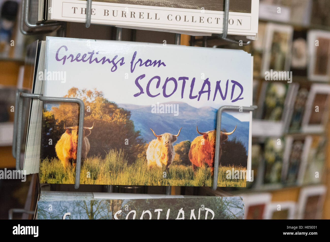 Grüße aus Schottland-Postkarte mit einem Motiv des Highland Cattle zum Verkauf Stockfoto