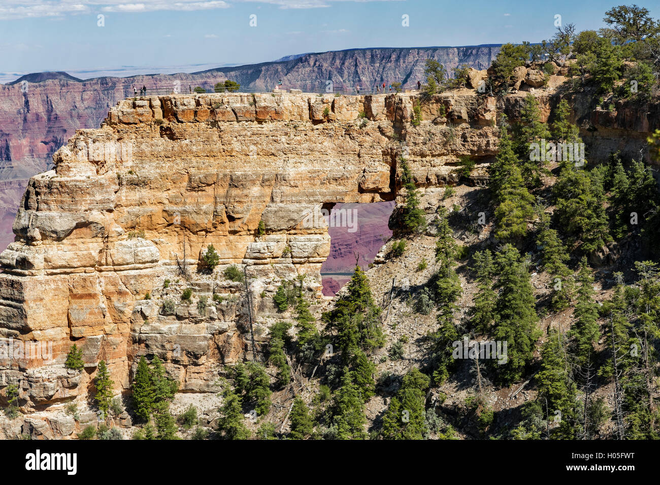 Besucher die Aussicht, Fenster "Engels" Grand Canyon North Rim, Arizona, USA Stockfoto