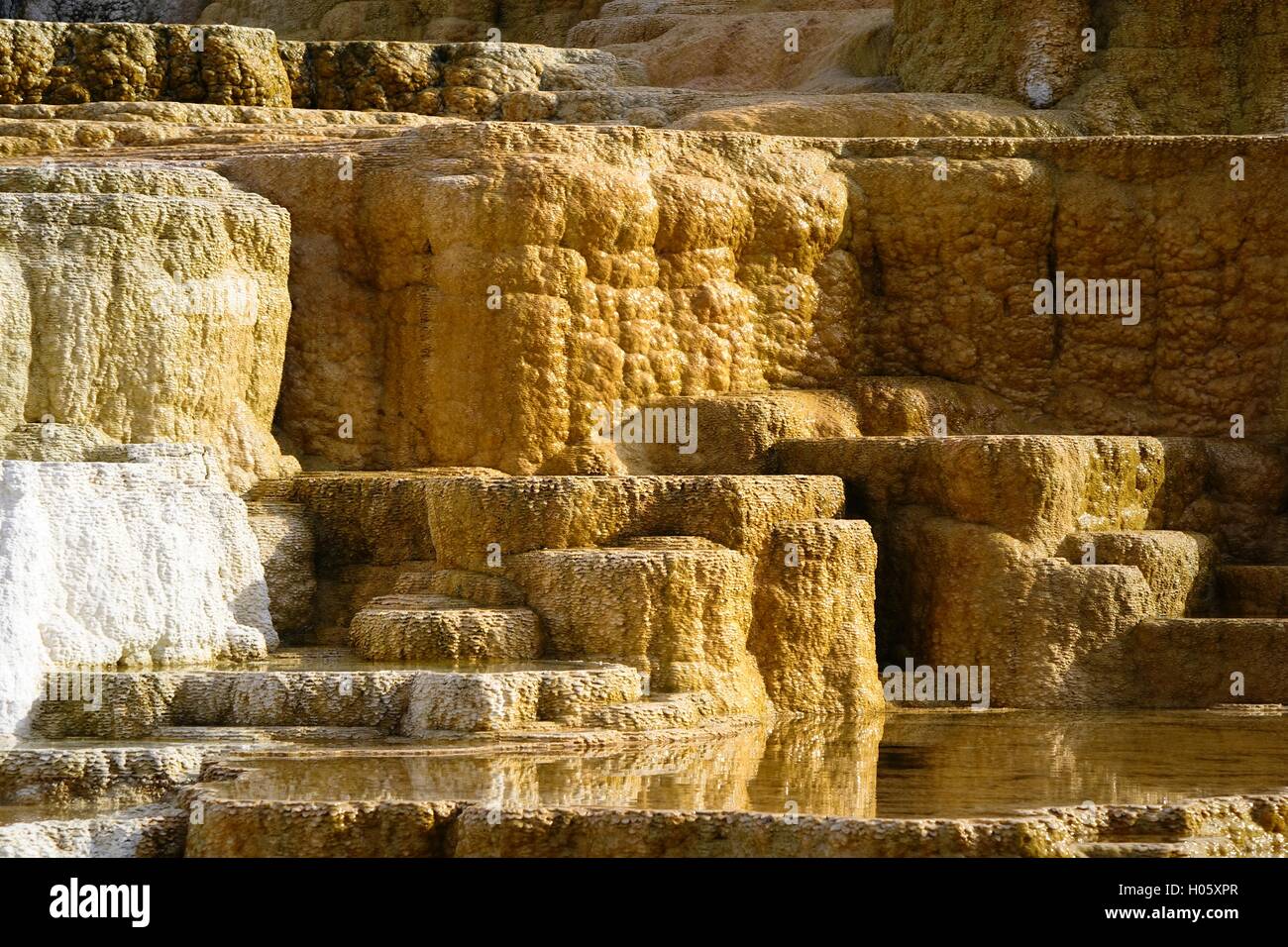 Unteren Terrassen, Mammoth Hot Springs, Yellowstone-Nationalpark Stockfoto