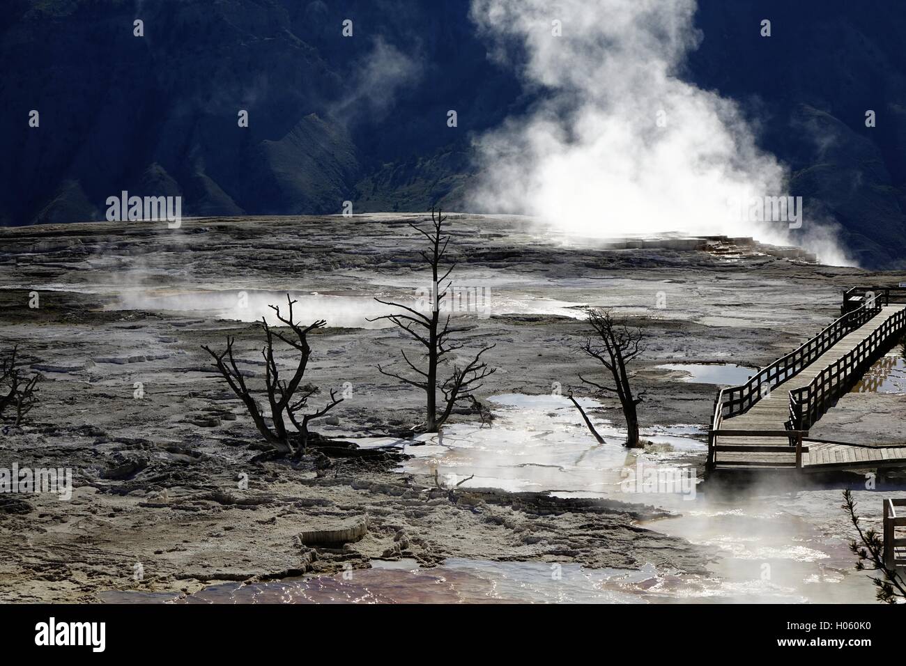 Dampf-Themen aus thermisch aktiven Formationen in den oberen Terrassen in Mammoth Hot Springs, Yellowstone-Nationalpark Stockfoto