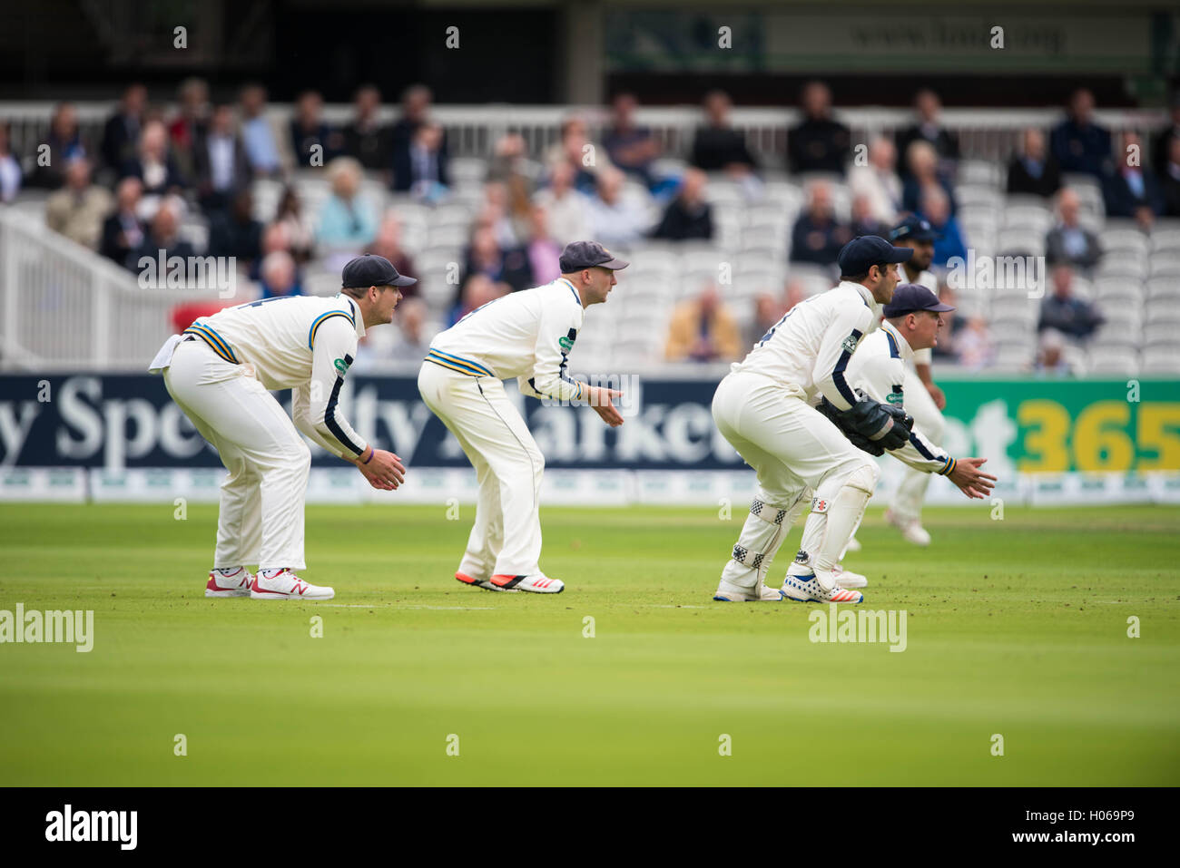 London, UK. 20. Sep, 2016. Andrew Hødd, Alex Lees, Adam Lyth und Gary Ballance der Yorkshire sehen den Ball während Tag eines Specsavers County Championship Division One zwischen Middlesex und Yorkshire auf Lords am 20. September 2016 in London, England übereinstimmen. Bildnachweis: Michael Jamison/Alamy Live-Nachrichten Stockfoto