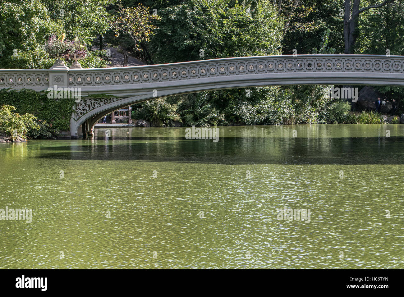 Bogenbrücke im Central Park. Stockfoto